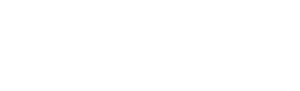 ShriRam Investments